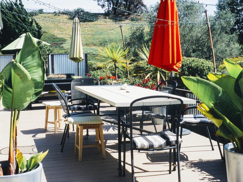 garden-gc13272429_1920-1024x678