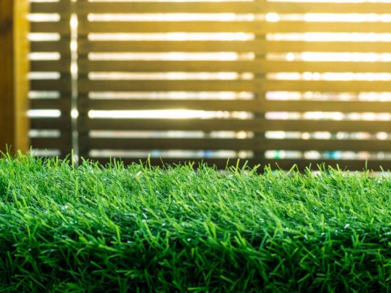 grass-9ZLGWQP-Large-1170x658